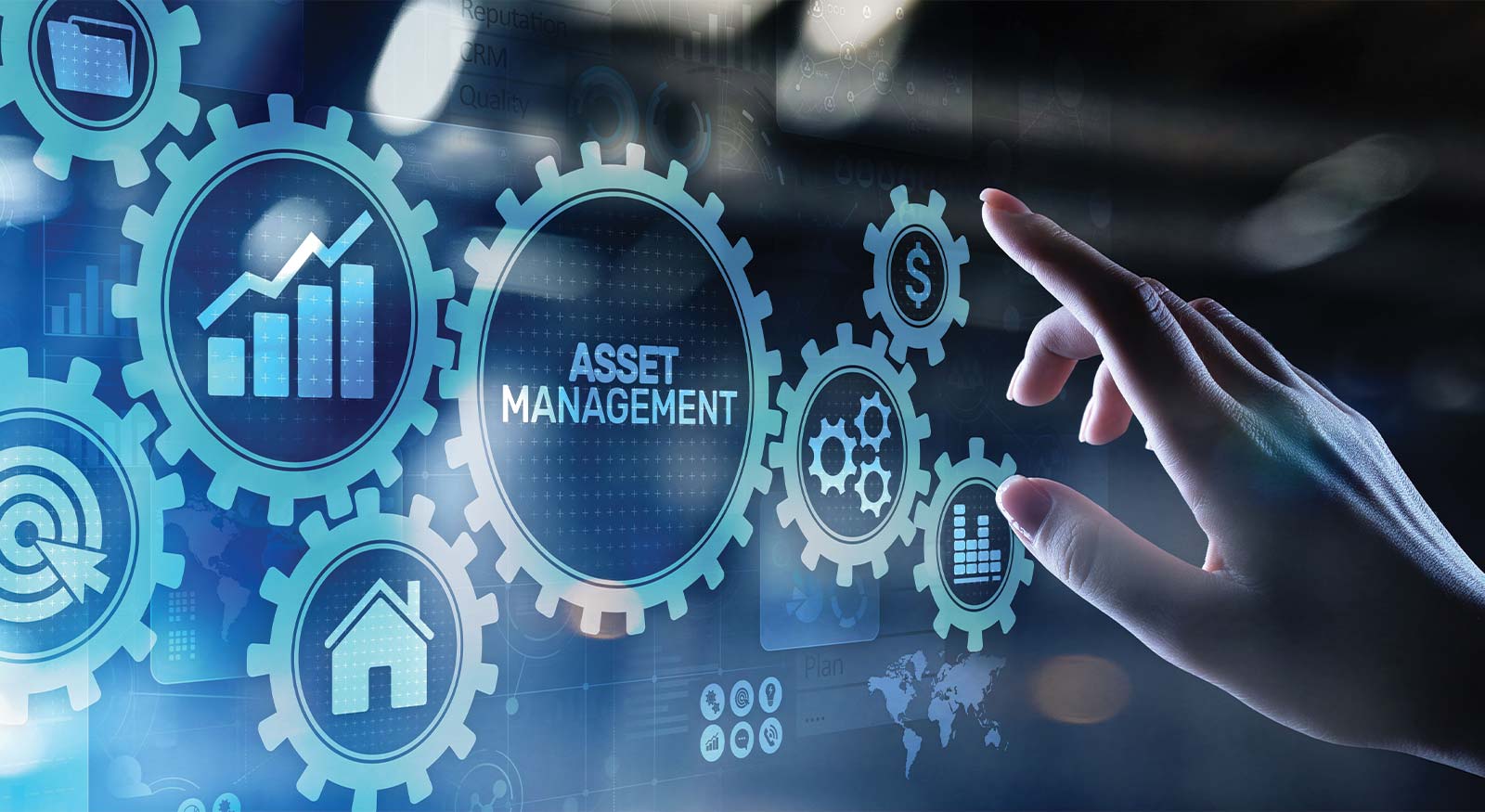 Asset Management Dashboard